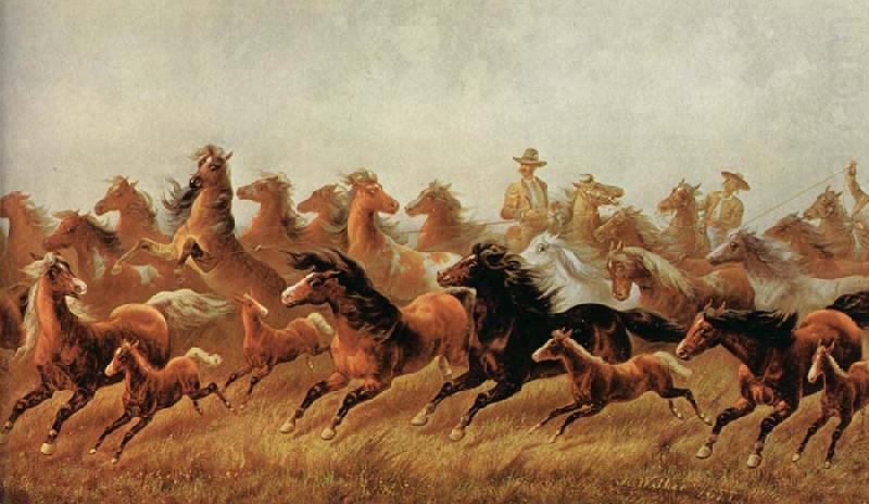Roping wild horses, James Walker